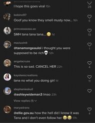 Comments left on the small brand's TikTok (Image via TikTok)